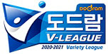 Professional volleyball logo