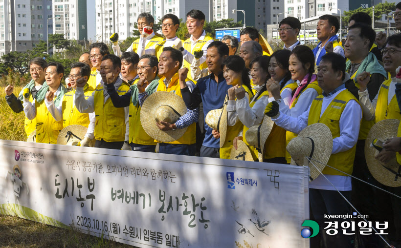 벼베기 자원봉사 (14)