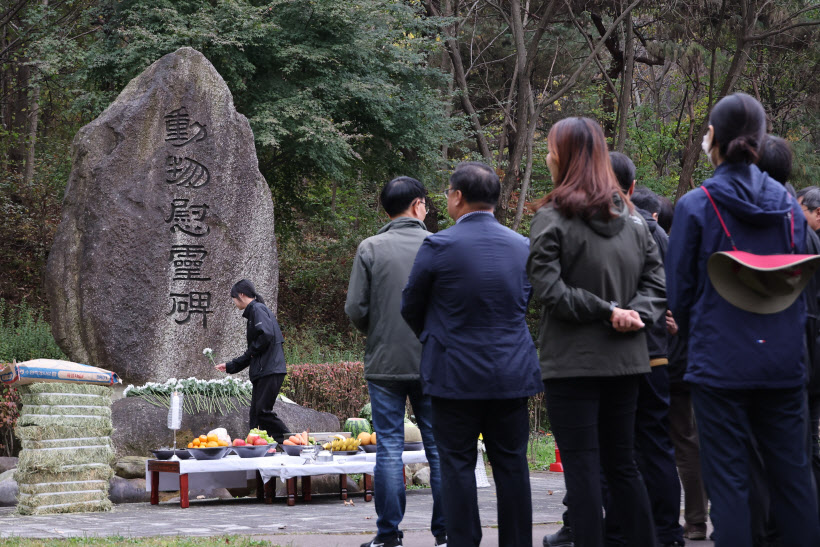 '동물들의 넋을 기립니다'