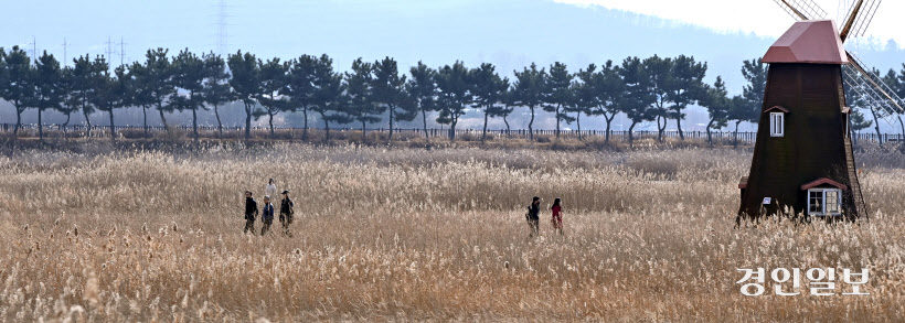 소래습지생태공원