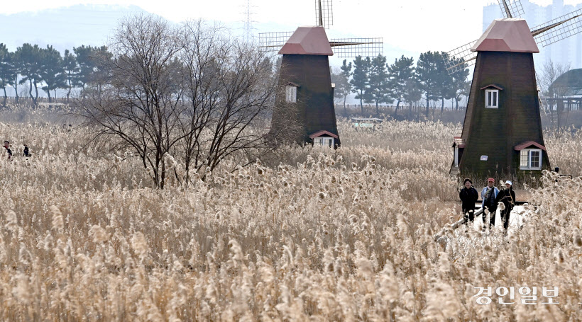 소래습지생태공원