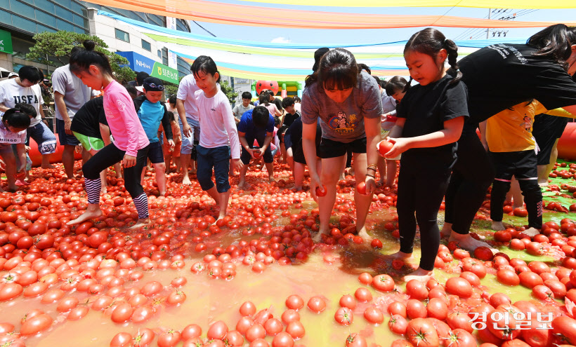 광주 퇴촌 토마토축제 (19)