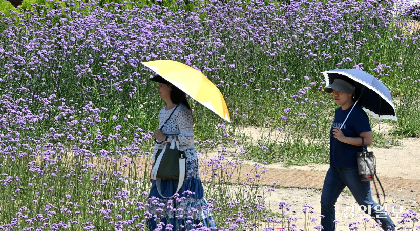 최고기온 32도 양산 스케치 (11)