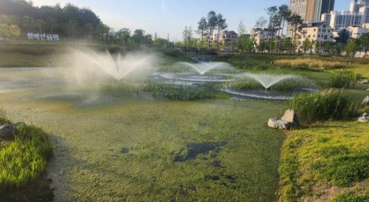 함박산 중앙공원 호수 `녹조 몸살`… 평택고덕 주민 ＂원인부터 없애야＂