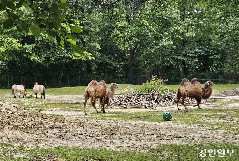 해외 동물원3