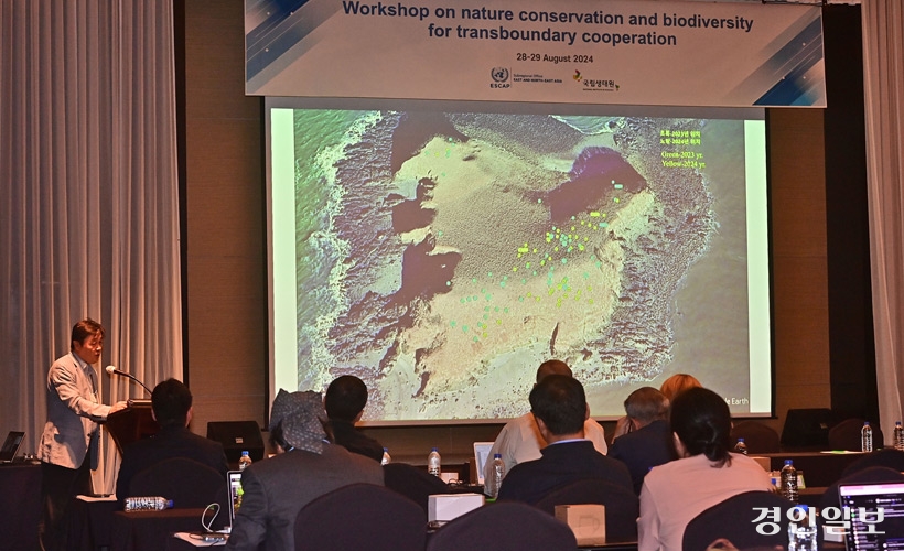 국립생태원과 유엔 아시아·태평양 경제사회위원회(ESCAP)가 공동으로 주최한 '자연 보전과 생물 다양성을 위한 초국경 협력' 워크숍이 열린 28일 오후 인천 송도국제도시 홀리데이인 인천 송도에서 이기섭 한국물새네트워크 상임이사가 저어새와 두루미 서식 현황과 위협 요인을 소개하고 있다. 2024.8.28 /조재현기자 jhc@kyeongin.com