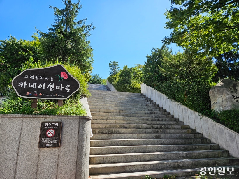 성남시 수정구 산성동에 고령친화 ‘경기 카네이션 마을’이 조성됐다.2024.8.30./김지원기자 zone@kyeongin.com