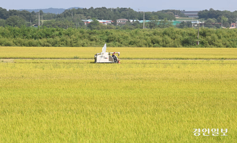 가을 추수하는 농민들 (6)