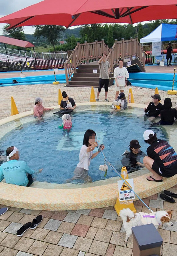 시흥시 멍푸멍푸