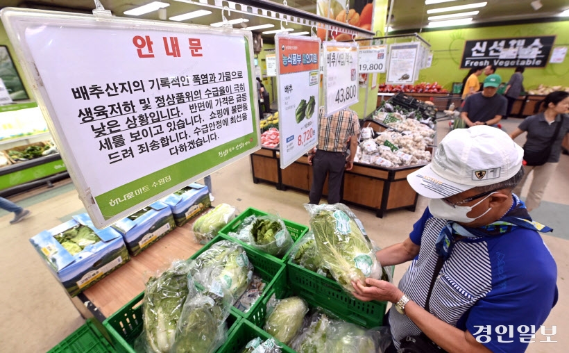 배추 수급 안정을 위한 안내문