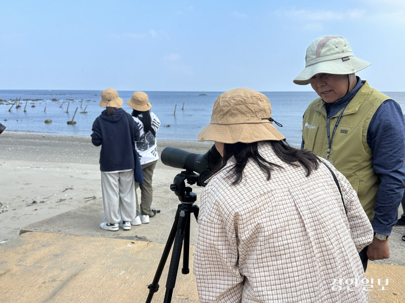 백령도 점박이물범 관측