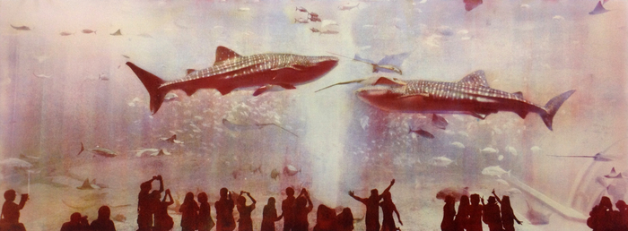 김범준 作 two whale sharks, 2014, 검프린트, 41×110㎝ /작가 제공