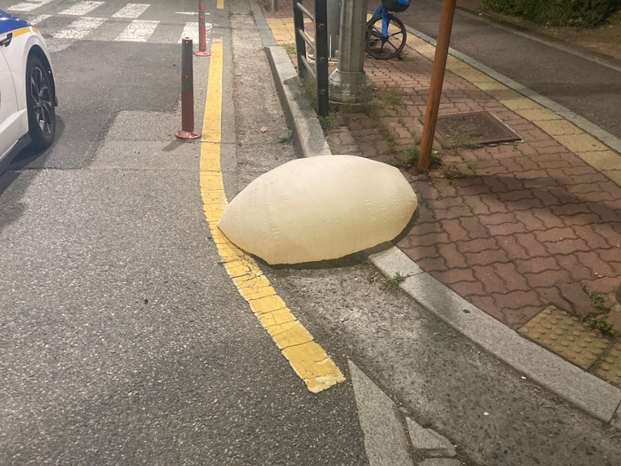 수원시 영통구 영통보건소 앞 노상에서 발견된 대남 전단 추정 물체. 2024.5.29  /연합뉴스=독자 제공