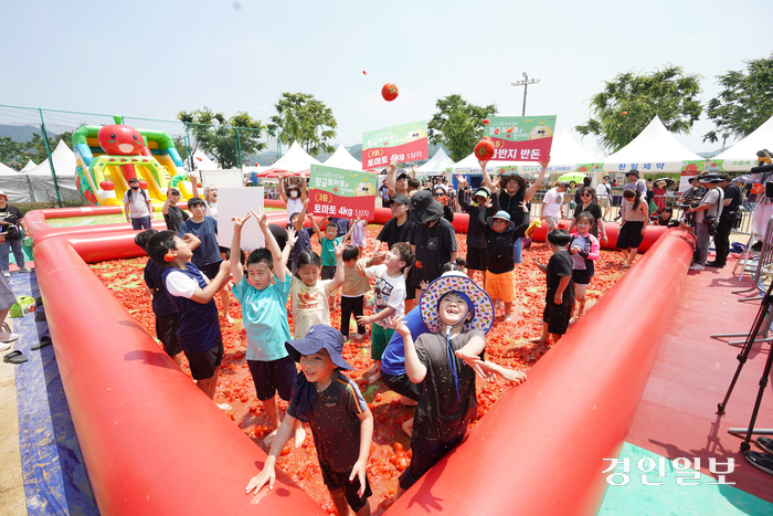 퇴촌 토마토 축제장에 마련된 토마토 풀장에서 아이들이 놀고 있다.2024.6.4/광주시 제공