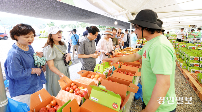 축제 현장에서 농가들이 직접 토타토를 판매하고 있다.2024.6.4/광주시 제공