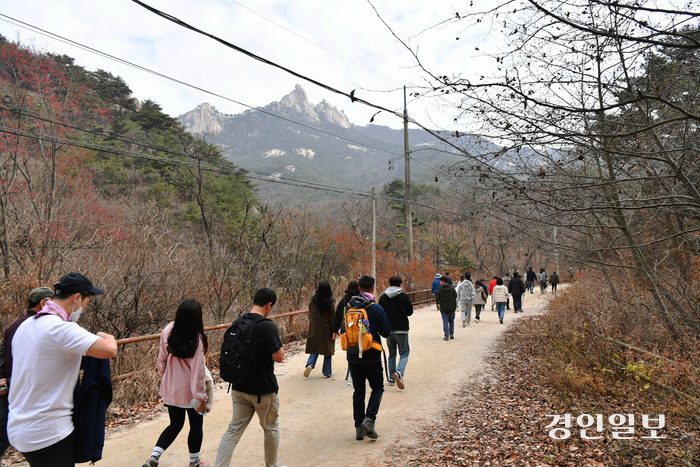 우이령길이 올해 2월부터 평일에도 예약 없이 이용할 수 있게 전면 개방되면서 많은 등산객이 등산로로 우이령길을 이용하고 있다. 2024.6.23/양주시 제공