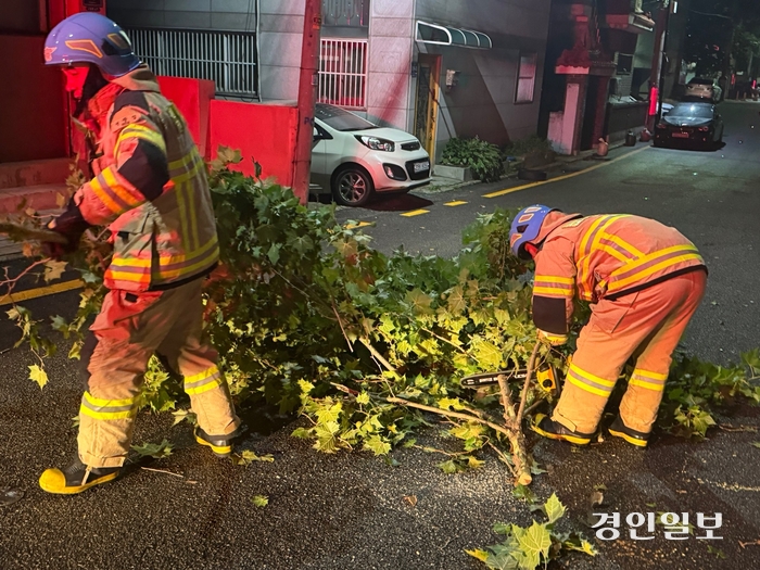 5일 오전 2시5분께 인천 남동구 구월동 구월체육근린공원 인근 도로에서 강풍에 나무가 쓰러져 소방당국이 안전조치에 나섰다. 2024.7.5 /인천소방본부 제공