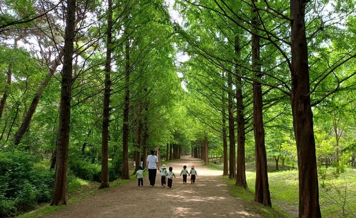 인천대공원 도시숲