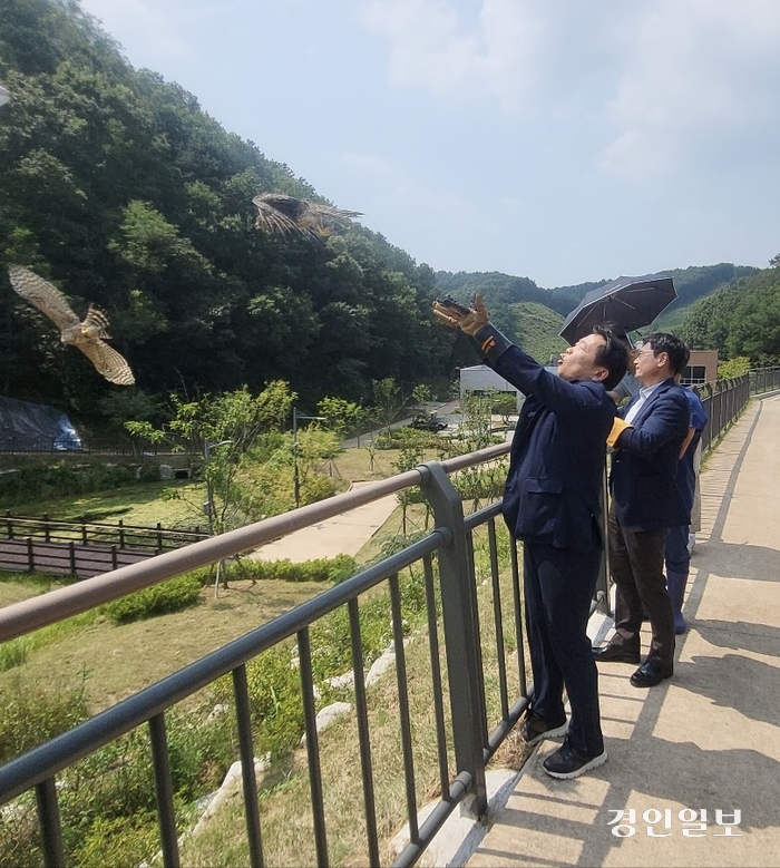 경기도 야생동물구조관리센터, 멸종위기종 ‘참매’ 치료 후 자연으로 돌려보내. /경기도 제공