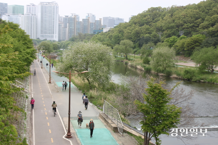 성남시·성남문화재단이 오는 10월  ‘2024 성남 페스티벌’ 기간에 야탑교~하탑교 구간에 카약을 뛰운다. 사진은 돌마교쪽서 바라본 탄천. /경인일보DB