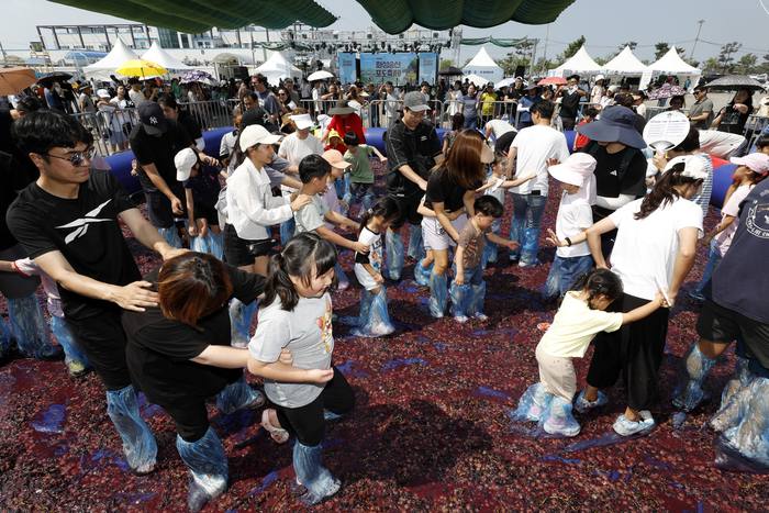 7~8일 화성시 서신면 궁평항 등에서는 제10회 화성송산포도축제가 성황리에 개최됐다. 2024.9.8 /화성시 제공