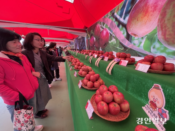 24일 가평군 자라섬 일원에서 열린 제31회 가평군 농업인 한마당 큰 잔치에 참석한 농업인 등이 행사장 내에 마련된 가평 우수농산물 전시장을 둘러보고 있다. 이날 우수농업인 시상식에서는 최인혁(설악면)씨가 대상 수상의 영예를 안았고 우수농산 품평회에서는 쌀 부문에서 신경훈(북면)씨, 포도 부문에서 김종순(조종면)씨, 사과 부문에서 이광호(북면)씨가 각각 최우수상을 받았다. 가평/김민수기자 kms@kyeongin.com