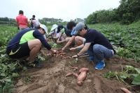 경기신보, 자매결연 마을 찾아 일손돕기