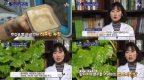 '레몬밤 효능' 체지방세포 줄이고 집중력 향상… 녹내장 환자는 삼가