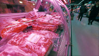 아프리카돼지열병에도 돼지고기 수출 전선은 아직 '이상무'