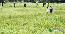 수도권 여름 더웠지만, 강수량 적어… 