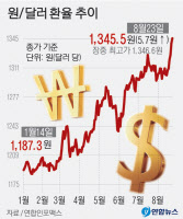 천정부지 환율, 13년4개월 만에 1340원선 돌파