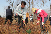 군포시, 식목일 앞두고 8천60그루 나무 식재