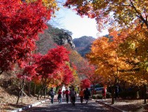 [클릭 핫이슈] 동두천시, 왕방산 연계 '산악 관광지화'