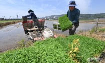 내달부터 '농어민기회소득'… 농민기본소득 형평성 극복 숙제