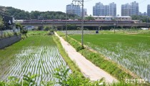 땅주인 항의해도 밀어붙여… 오산시 '불도저 행정'