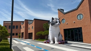 경기도, 광역 지자체 최초로 운영하는 고양이 입양센터에서 12마리 입양 성과