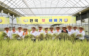 '임금님표 이천쌀', 2024년 전국 첫 벼베기 행사