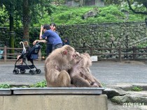 전시 대신 교감… 갇혀 있던 동물원 '틀'을 깨다 [시대착오 동물원, 존폐를 묻다·(5-1·끝)]