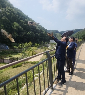 경기도, 멸종위기종 '참매' 2마리 치료 후 자연의 품으로