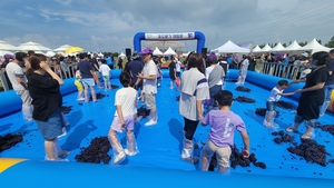 “취하자, 즐기자, 빠지자, 놀자!” 안산시, 28~29일 대부포도축제 개최