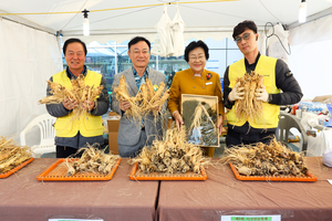 '행복·건강 나눠요' 이천인삼축제 10월25일 개막