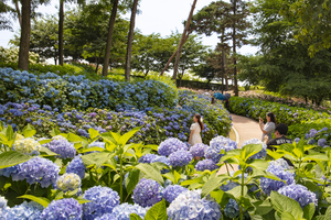 평택에 산다는 건 '공세권'에 산다는 것… 경기도 최다 공원 보유