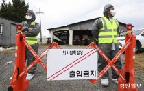 가축전염병 살처분 보상금, 최근 5년간 5289억 이상 지급