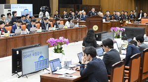 국감 도마 오른 '경기경찰 수사관행' 전단지 재물손괴·동탄 성범죄 무고 질타