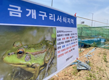 점박이물범 홍보만 있고 '깃대종 보호' 계획은 없다