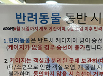 배타고 병원가는데… 춥고 시끄러운 짐칸 타는 반려동물